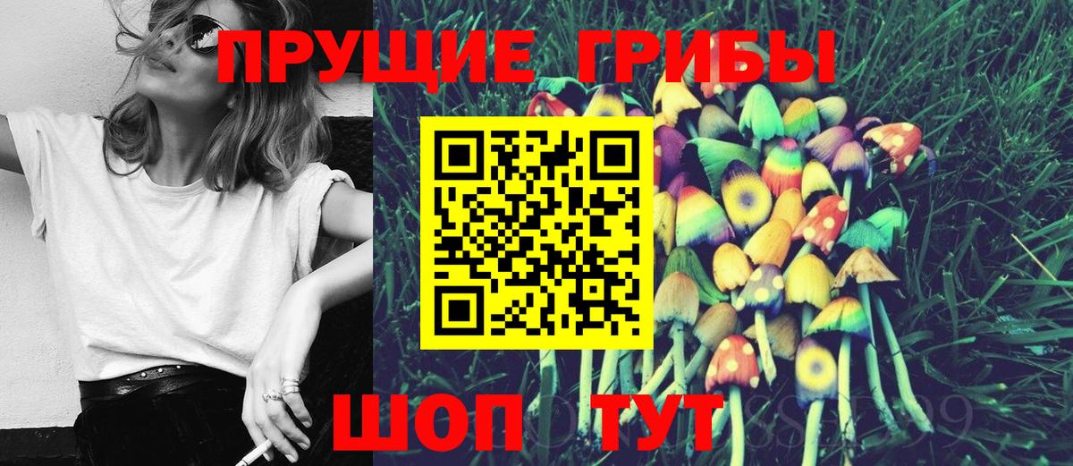 Луга  купить закладку  Галлюциногенные грибы ЛСД  Вход с VPN  Псилоцибиновые грибы мицелий 