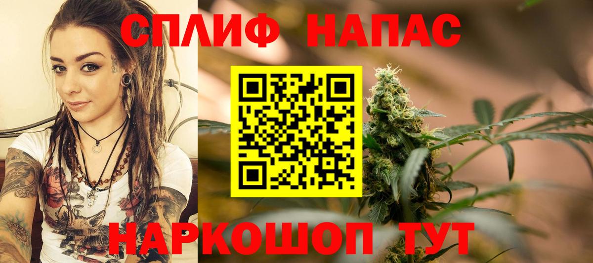 Бошки марихуана ГИДРОПОН Луга